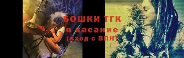 шишки Балабаново
