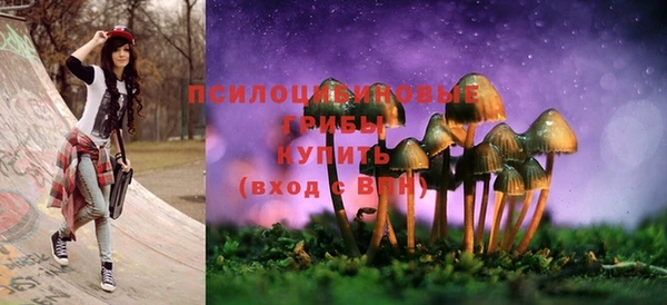 MDMA Новозыбков