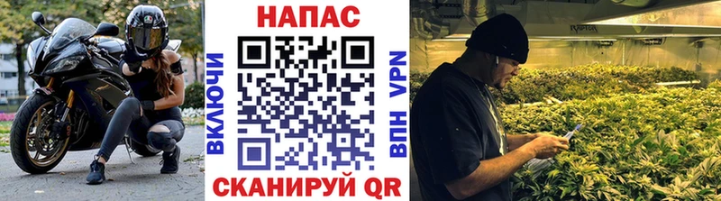 Бошки Шишки планчик  купить   Сосновый Бор 